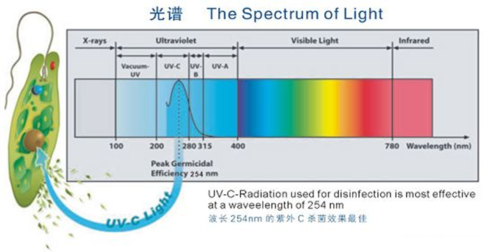 科普！紫外線殺菌燈對人體影響及正確使用方法